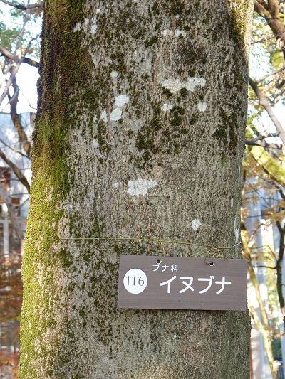 w004409nisihonmati4
