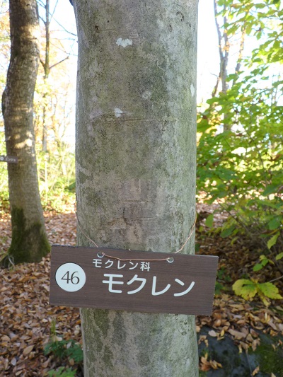 w004409nisihonmati9