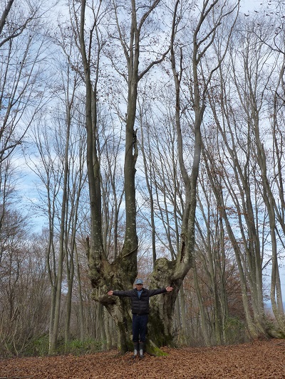 w004409nisikarekimata8