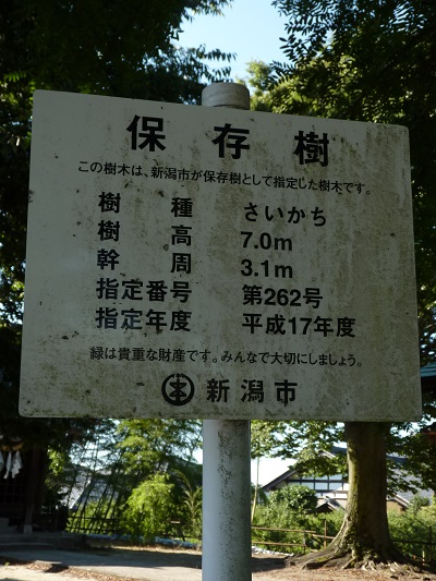 w0044102himizu-1