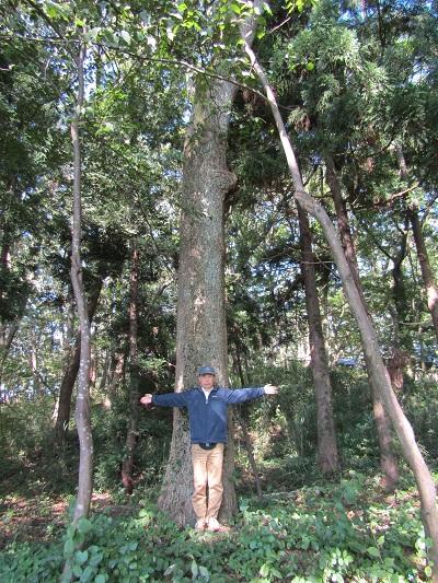 w0044106ajirohama