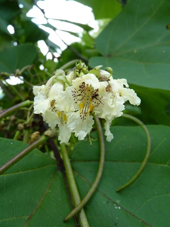 w004410yoriai1-1