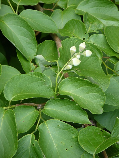 w004410yoriai2