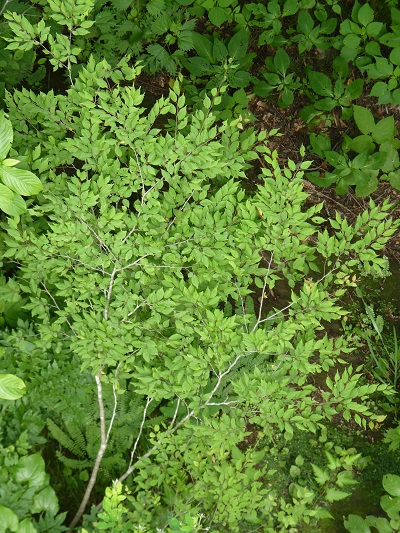 w004410yoriai7