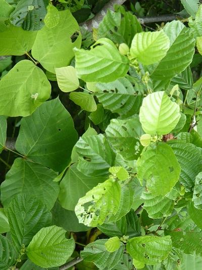 w004410yoriai8