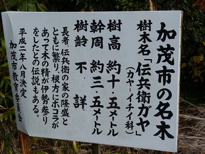 w004412tigurako-1