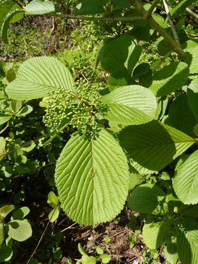 w004413kettou10