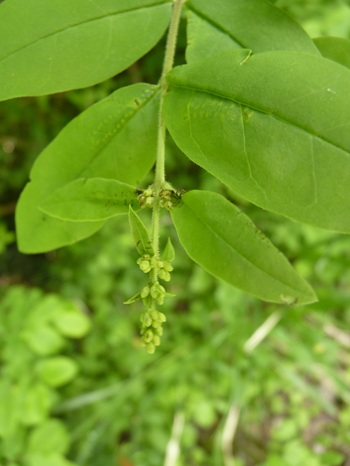 w004413kettou19-1