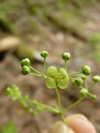 w004413kettou21-1