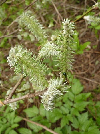 w004413kettou22-1
