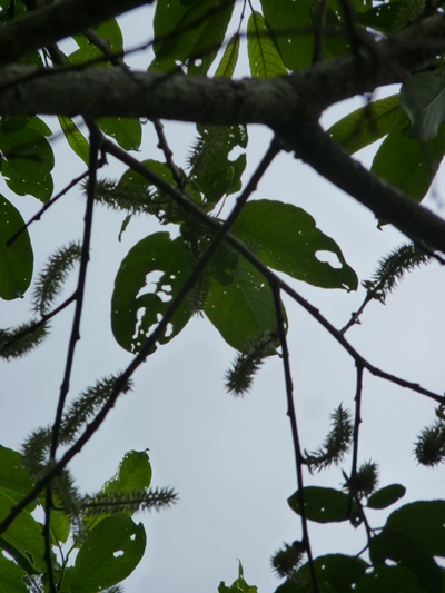 w004413kettou22