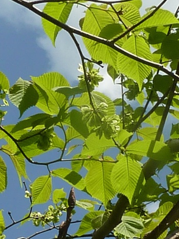 w004413kettou4-1