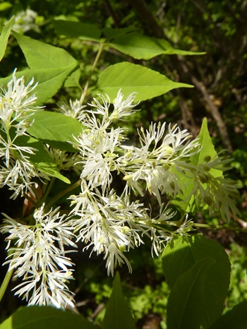 w004413kettou5-1