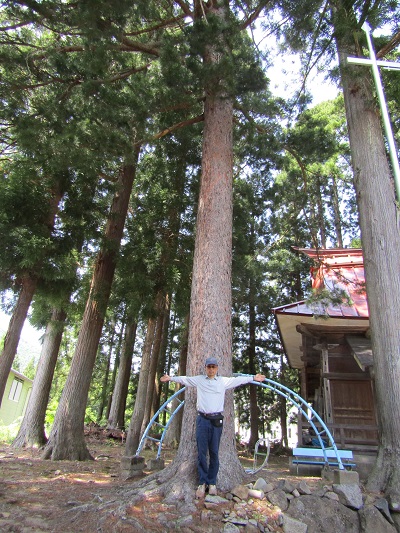 w004413ooakazawa