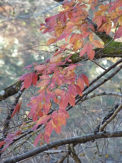 w004413sakasamaki12-1