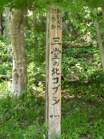 w004416takakura-1