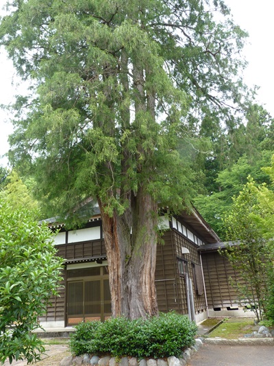 w004419yamagata