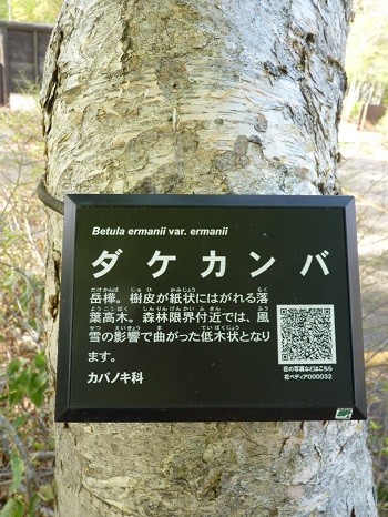 w004421sasagamine10-2