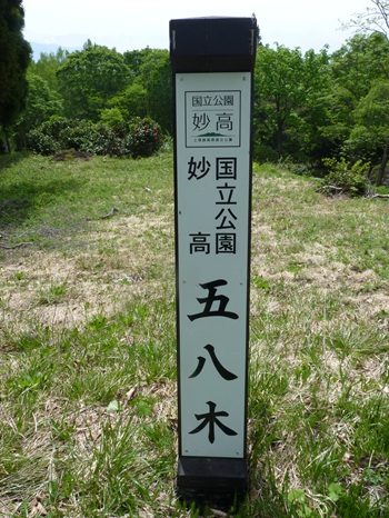 w004421sasagamine36-1