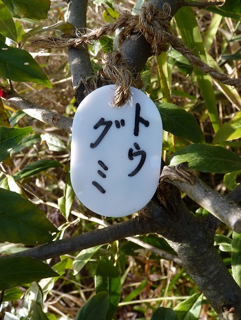 w004421sekigawa115-2