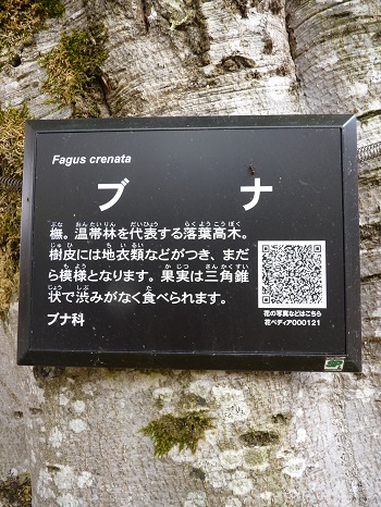 w004421suginosawa13-1