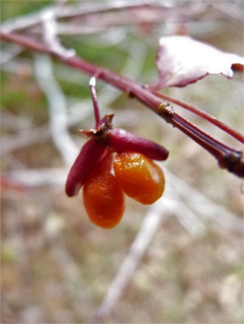 w004421suginosawa14-1
