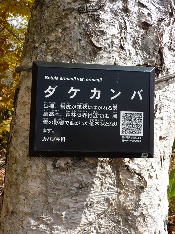 w004421suginosawa15-2