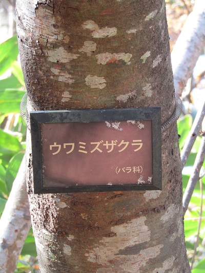 w004425rengeji18