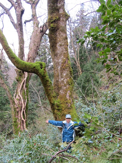 w004426oyamada12