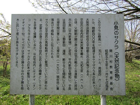 w004430omi-1