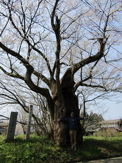 w004430omi