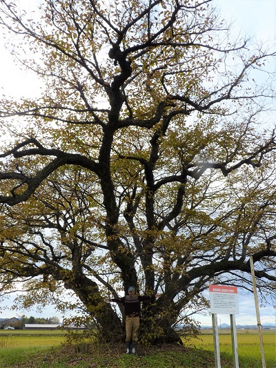 w004434katagiri