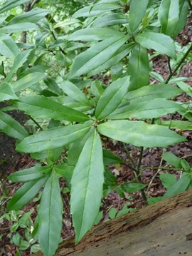 w004434motomati15-2