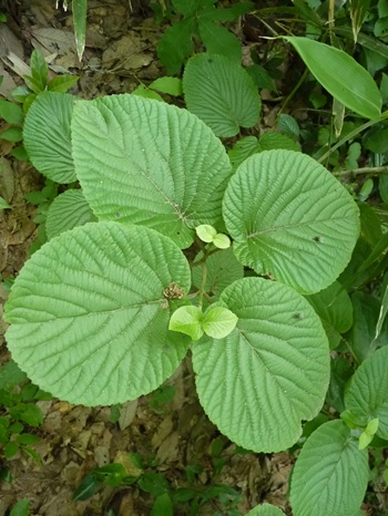 w004434motomati23-3