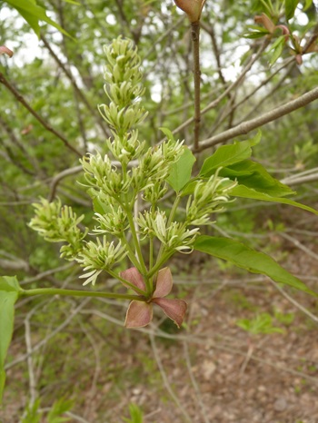 w004434motomati59-1