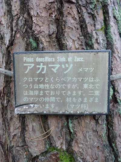 w004434niigata30