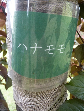 w004434sinkou154-2