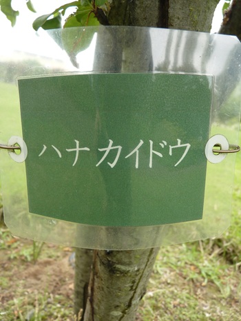 w004434sinkou157-3