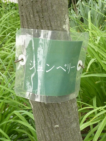 w004434sinkou159-2