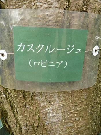 w004434sinkou161-2