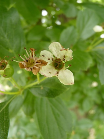 w004434sinkou74-3