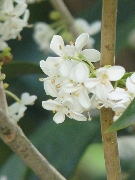 w004434sinkou78-2