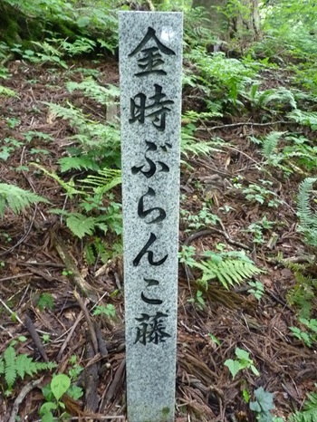 w004436agero-1