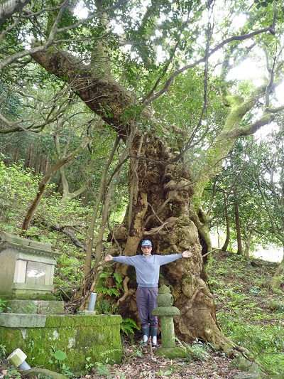 w004436tonami