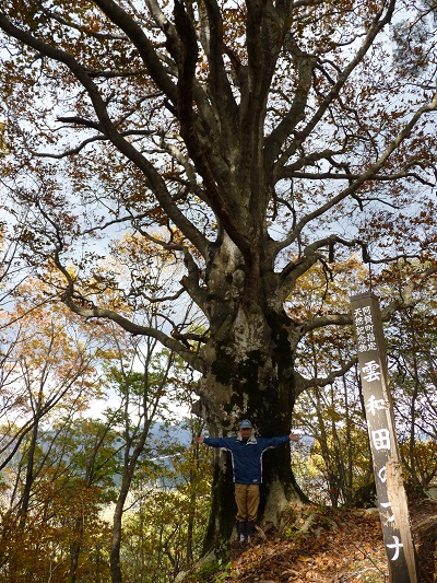 w004437kumowada