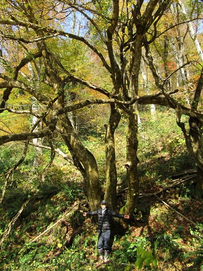 w004437tugawa1
