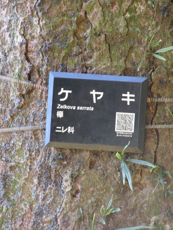 w004437tugawa15-1