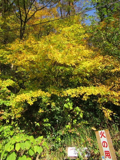 w004437tugawa5