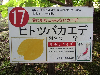 w004438raikouji10-1