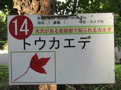 w004438raikouji13-2